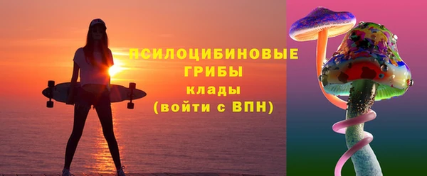 прущий лед Арсеньев