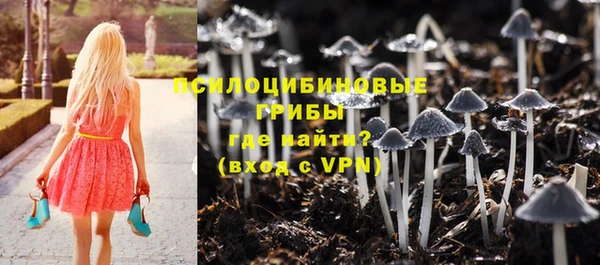 альфа пвп Армянск