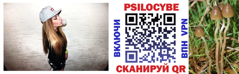 мега зеркало  купить  цена  Нововоронеж  Псилоцибиновые грибы Psilocybine cubensis 