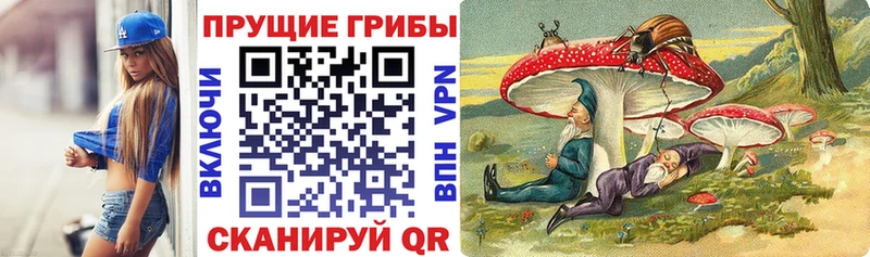 Галлюциногенные грибы Psilocybine cubensis Нововоронеж